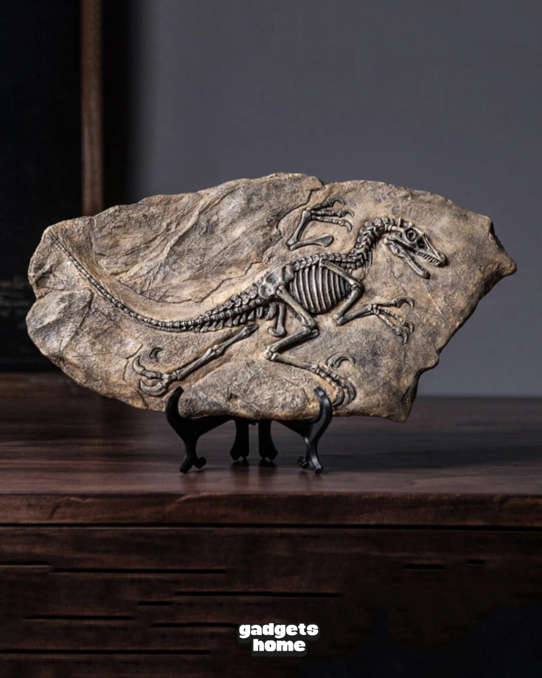 DINOSAUR FOSSIL