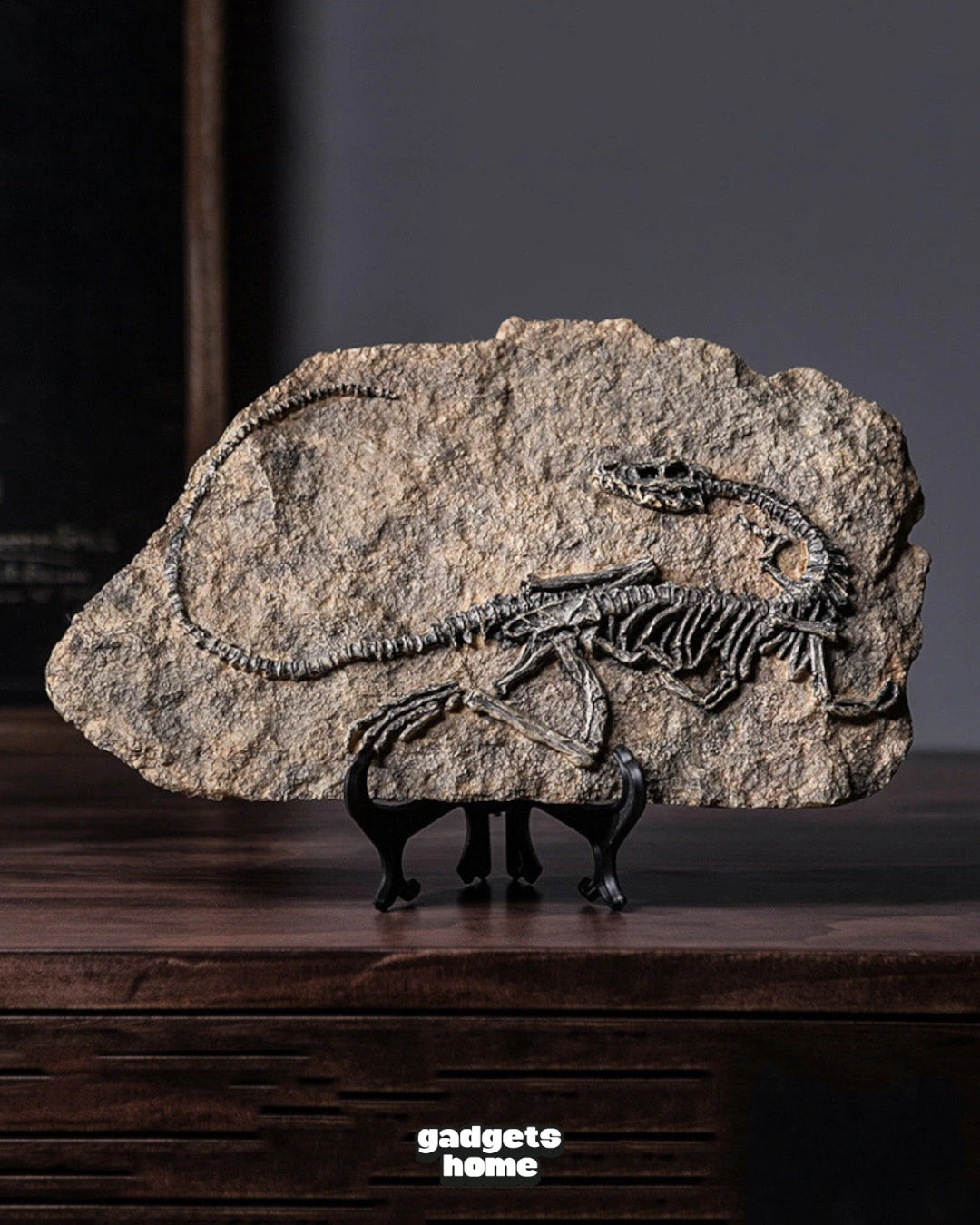 DINOSAUR FOSSIL